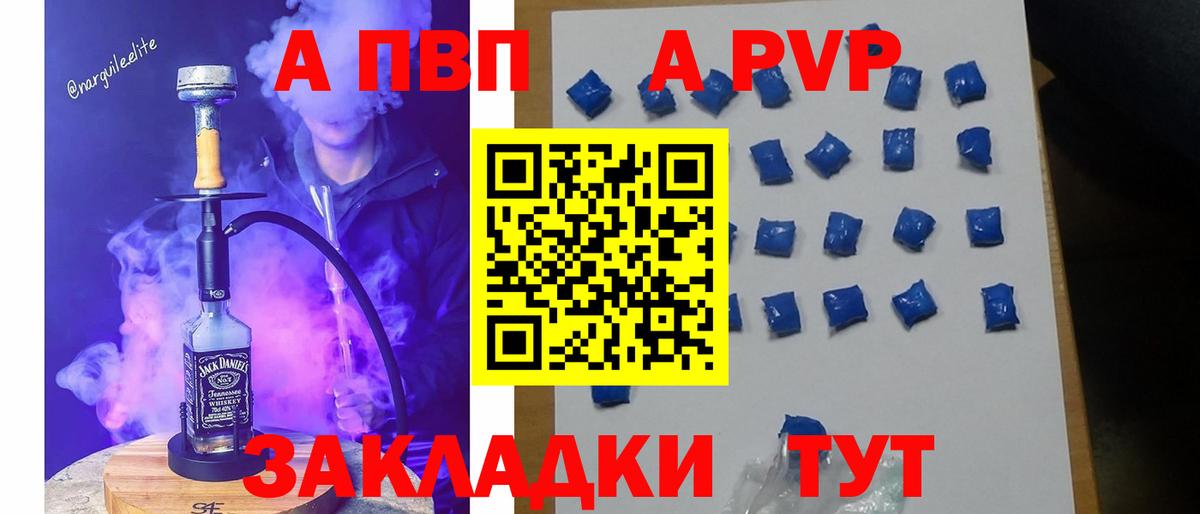 Alfa_PVP СК КРИС Нарткала