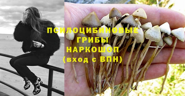 шишки Армянск