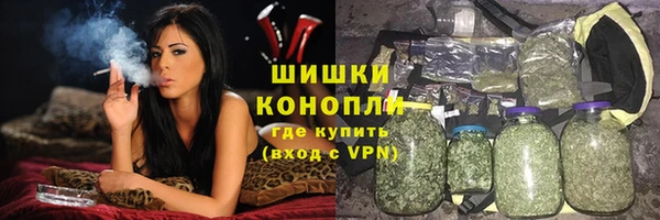 шишки Армянск