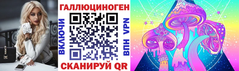 дарк нет наркотические препараты  блэк спрут сайт  Нарткала  Галлюциногенные грибы GOLDEN TEACHER 